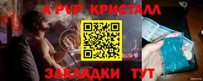 дмт Аргун