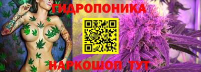 тгк Апшеронск