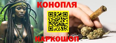 дмт Аргун