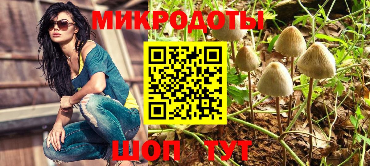 наркота  Вход с VPN  Галлюциногенные грибы MAGIC MUSHROOMS  Волжск  Галлюциногенные грибы Magic Shrooms 
